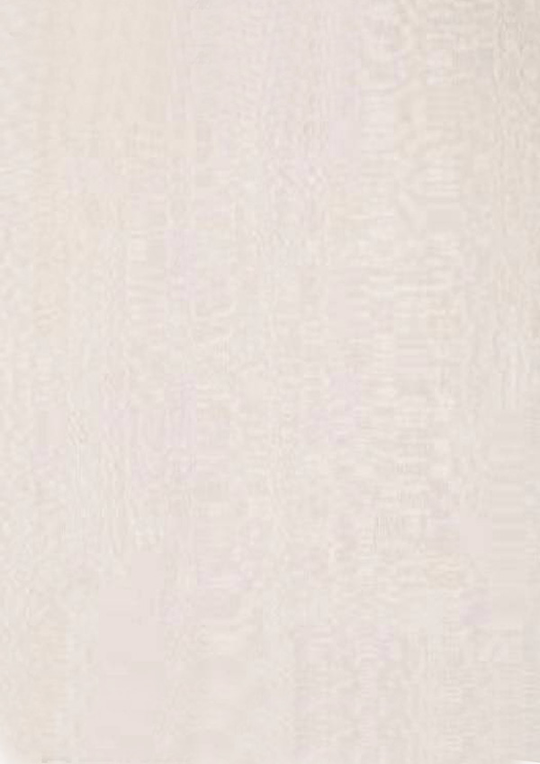 白玉滿(mǎn)堂